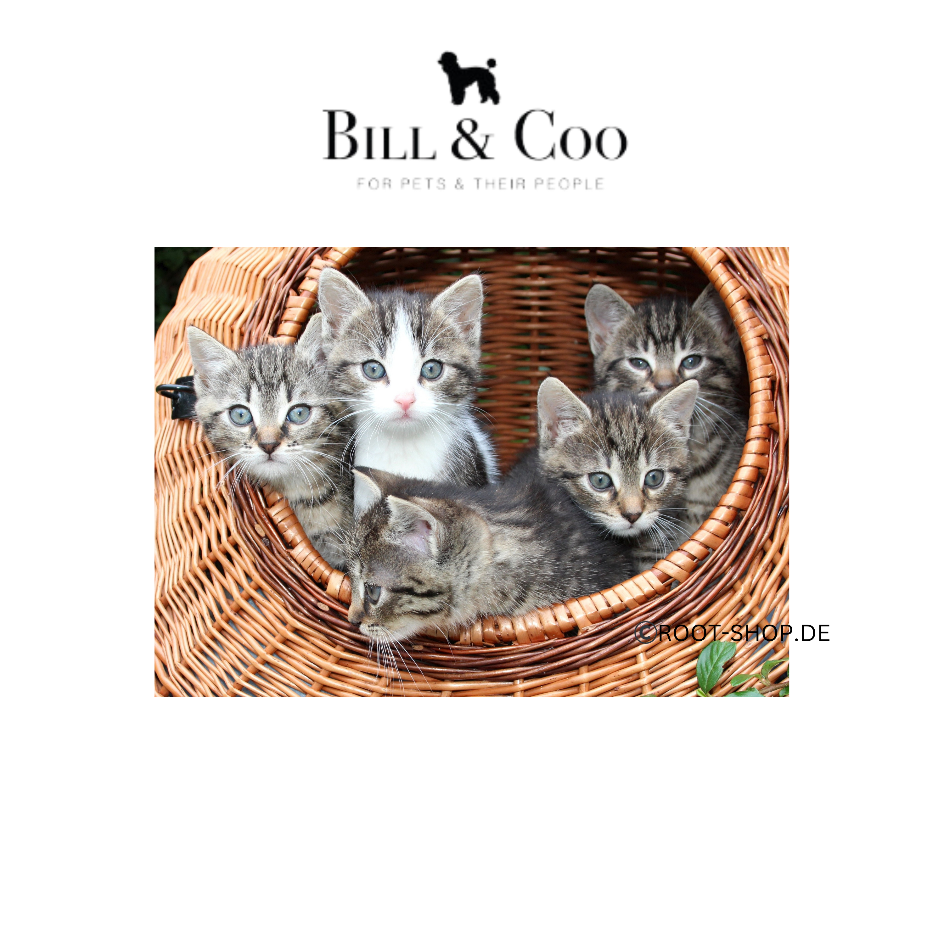 BILL & COO Pure Clean Pet