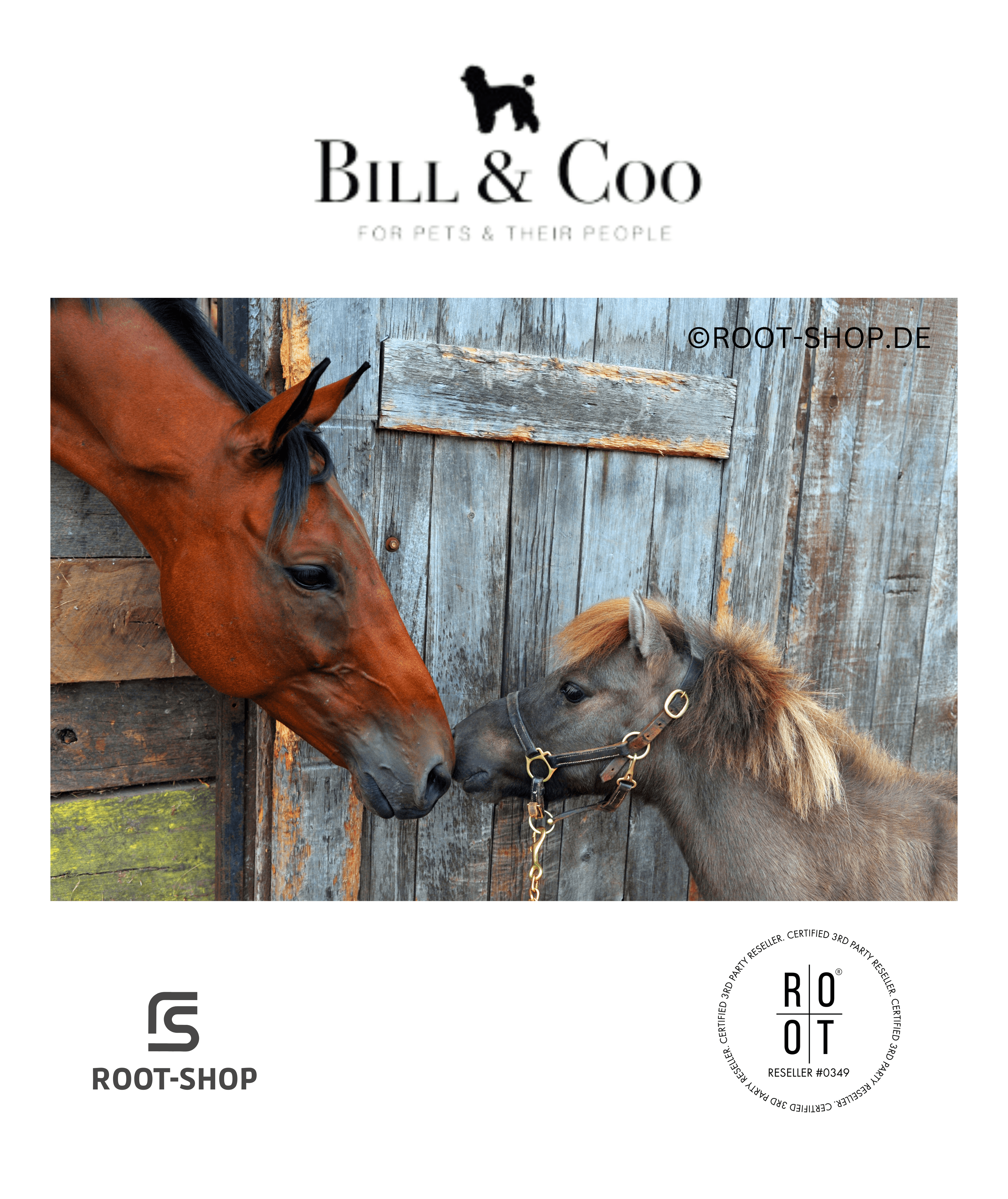 BILL &amp; COO Coato - ROOT-SHOP