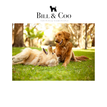 BILL &amp; COO Defend your Pet
